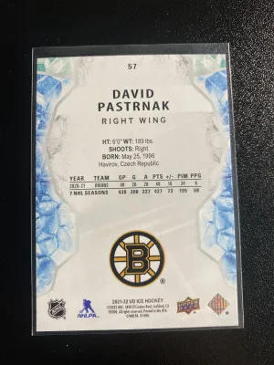David Pastrnak 21-22 ICE Green back