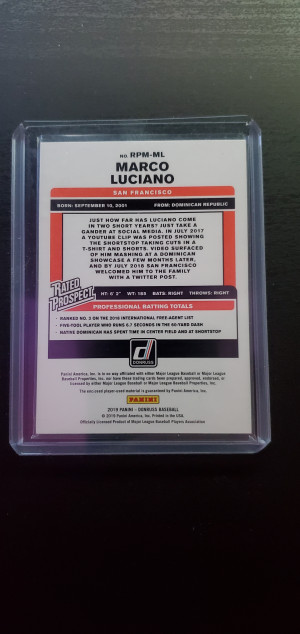 Marco Luciano back