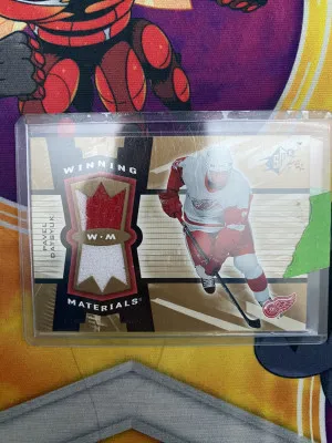 Pavel Datsyuk Winning Materials front