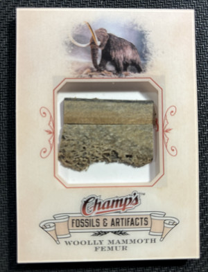 2008-2009 UD Champ’s Hockey Woolly Mammoth Full-Size Femur Bone DNA Fossil front