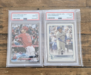 Baseball Lot back