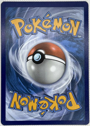 CHARIZARD - Pokemon TCG Vivid Voltage 025/185 - LP - Cracked Ice Holo Rare back