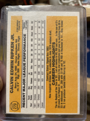 Cal Ripken Junior back