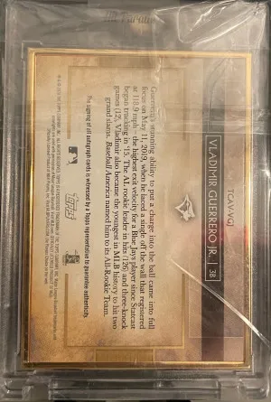 Vladimir Guerrero Jr. 2020 Topps Transcendent Autograph #TCAV-VGJ /25 back