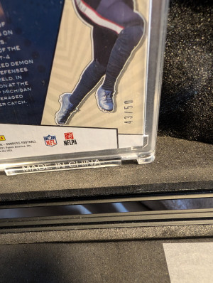 Donruss Nico Collins /50 back