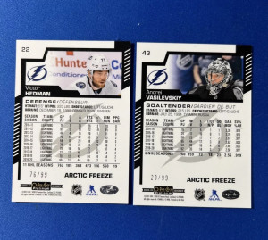 2020-21 OPC Platinum: Andrei Vasilevskiy & Victor Hedman Arctic Freeze /99 Lot - #22 & #43 back