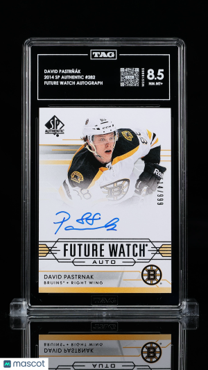 Upper Deck SP Authentic David Pastrňák #282 Rookie TAG 8.5 front