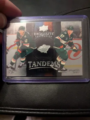 Black Diamond Hockey Minnesota Wild Lot front