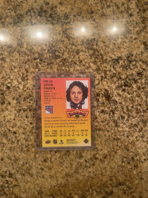 Artemi Panarin Fanamation back