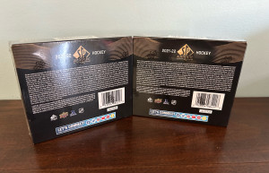 2021-22 SP Authentic Hobby Box x2 back