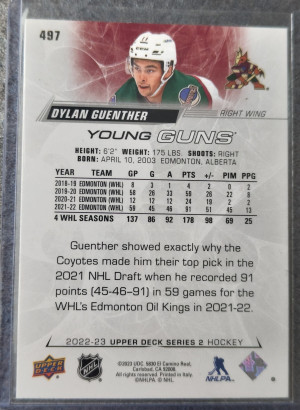 Dylan Guenther YG back