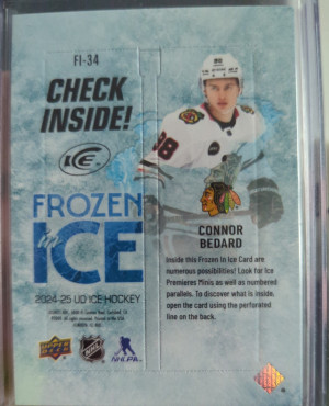 24-25 UD Ice Connor Bedard Frozen Ice Unripped back