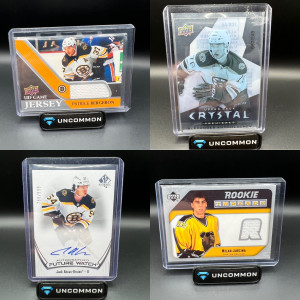 Boston Bruins Lot back