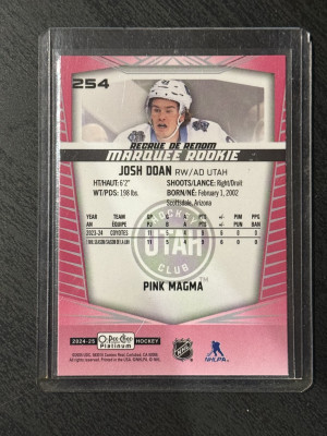 Doan Pink Magma back
