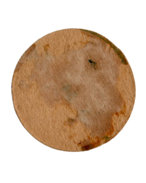 1956 Casa Crack Figuritas Sport Basketball Disc #54 Gerard (Argentina) back