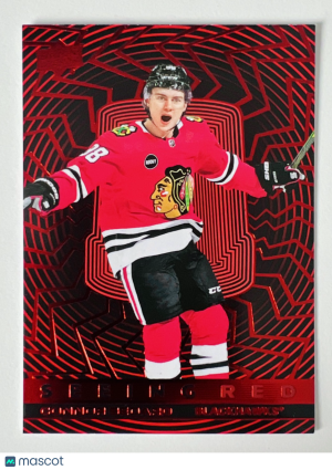 2024 2023-24 Upper Deck Seeing Red Connor Bedard Parallel/Variety Insert front