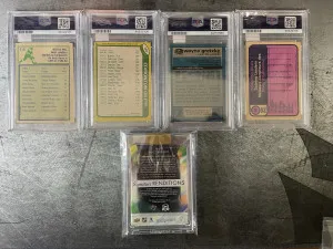 Gretzky And Boldy Rendition Lot back