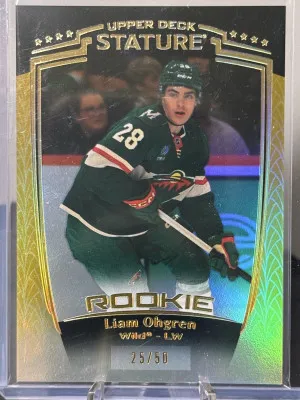 2024-25 Stature Liam Ohgren Gold /50 front