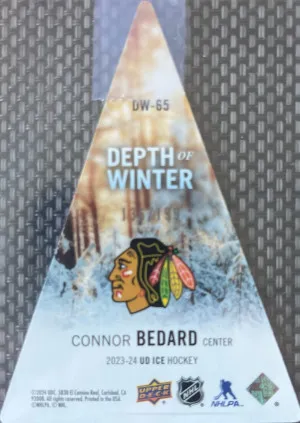 Connor Bedard Depth Of The Winter Rookie /199 back