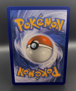 Pikachu #160/159 Crown Zenith back