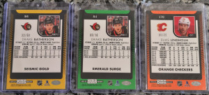 21-22 Platinum Lot back