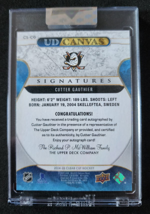 Jesper Wallstedt Artifacts Dual Patch Auto /99 back
