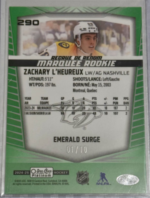 Zachary L'Heureux RC Emerald Surge 1/10 back