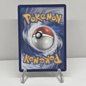 Rayquaza VMAX (Secret) TG29/TG30 Swsh12: Sword & Shield - Silver Tempest Trainer back