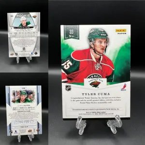Wild Patch / Auto Lot back