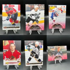 (12) Retired Legend Canvas Lot back