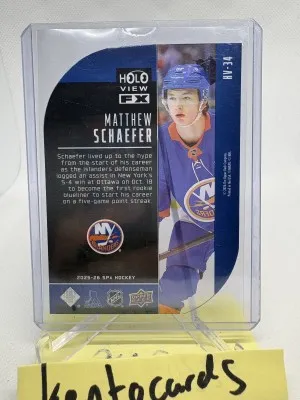 Matthew Schaefer Holoview back