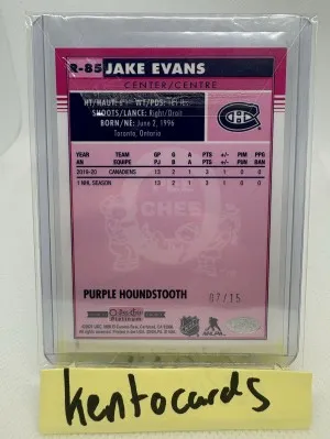 2021 Platinum Retro Houndstooth/15 Jake Evans back