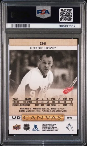 Gordie Howe Canvas back