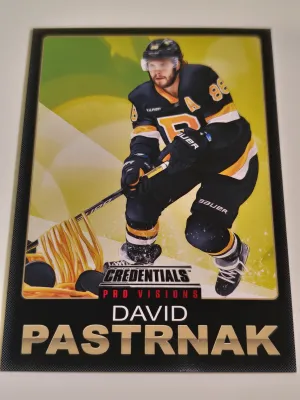 2023-24 Upper Deck Credentials David Pastrnak Pro Visions #3 of 10
