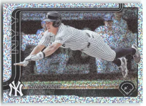 Anthony Volpe 2025 Topps Confetti New York Yankees