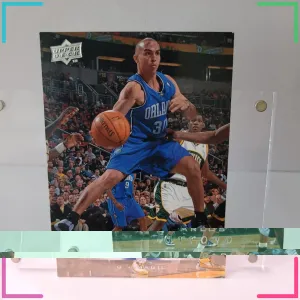 2008-09 Upper Deck - Carlos Arroyo #133