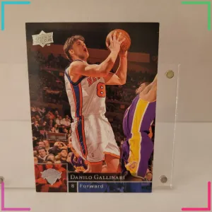 2009-10 Upper Deck - Danilo Gallinari #133