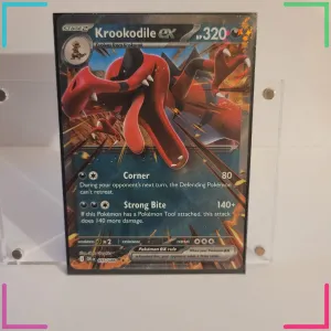 Pokémon TCG - Chaos Rising Holo/Reverse Holo EX SIR Illustration Rare Card | NM