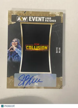 2024 Upper Deck Patch