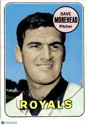 1969 Baseball Card Dave Morehead #29