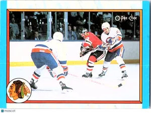 1988 O-Pee-Chee Chicago Blackhawks #301