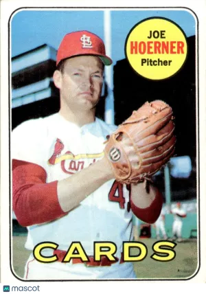 1969 Baseball Card Joe Hoerner #522