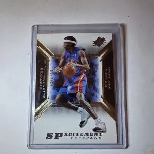 2005 SPX Richard Hamilton /999