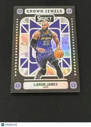 2024 Panini Black Friday LeBron James #5 Prizm Parallel/Variety