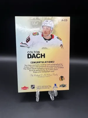 Colton Dach Auto back