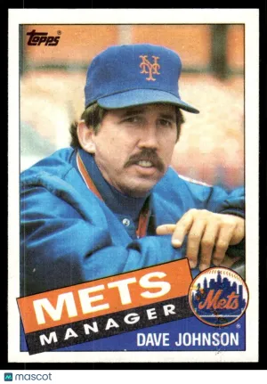 1985 Baseball Card Dave Johnson #492