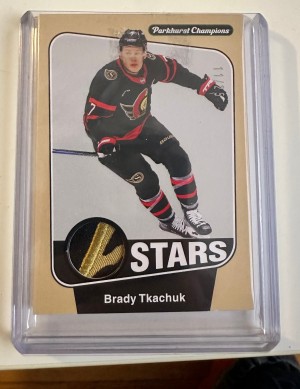 Parkhurst Champions Stars patch.