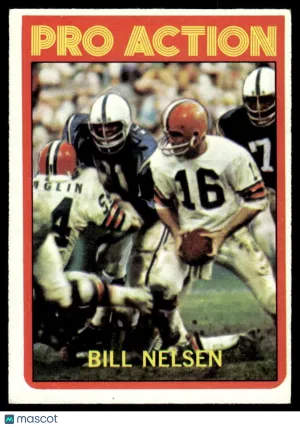 1972 Football Card Bill Nelsen #130
