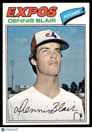 1977 Baseball Card Dennis Blair #593