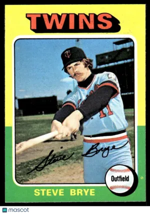 1975 Baseball Card Steve Brye #151